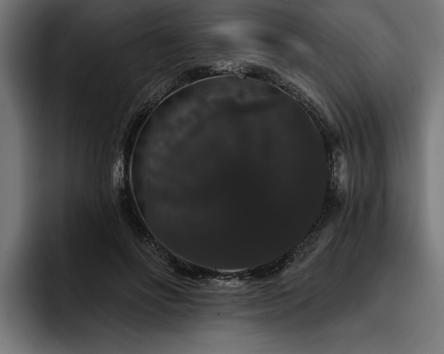 X0000093400502200710121101