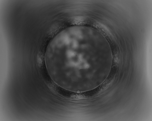 X0000093400503200710121101