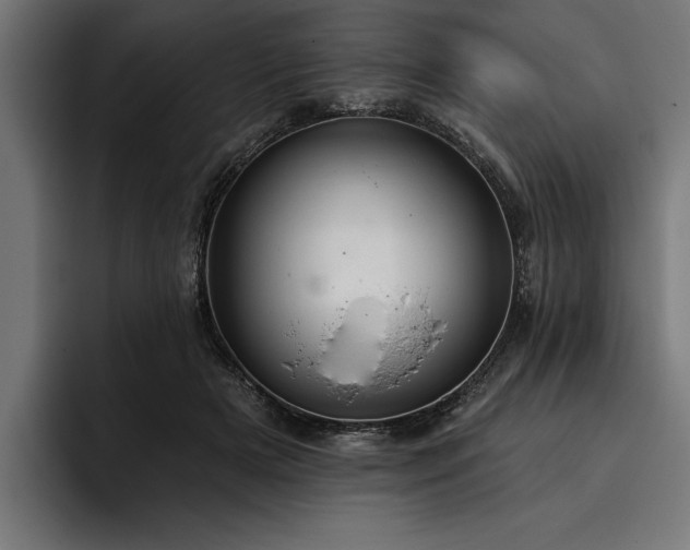 X0000093400505200710121101
