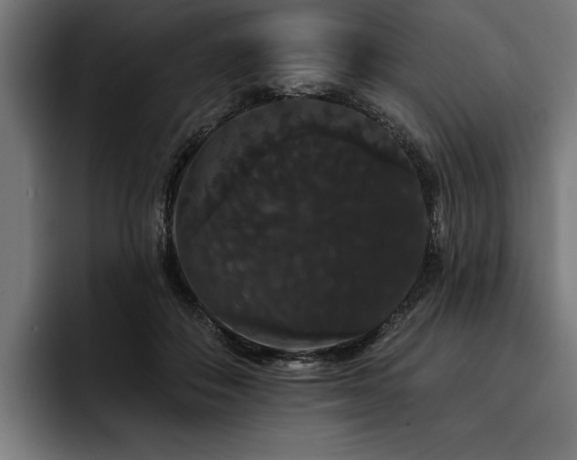 X0000093400506200710121101