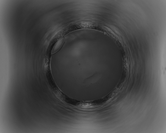 X0000093400507200710121101