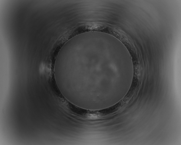 X0000093400510200710121101