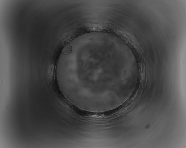 X0000093400511200710121101