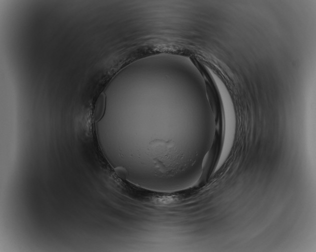 X0000093400513200710121101