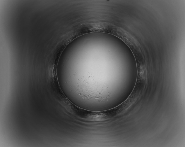 X0000093400514200710121101