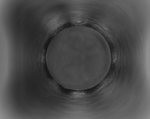 X0000093400515200710121101