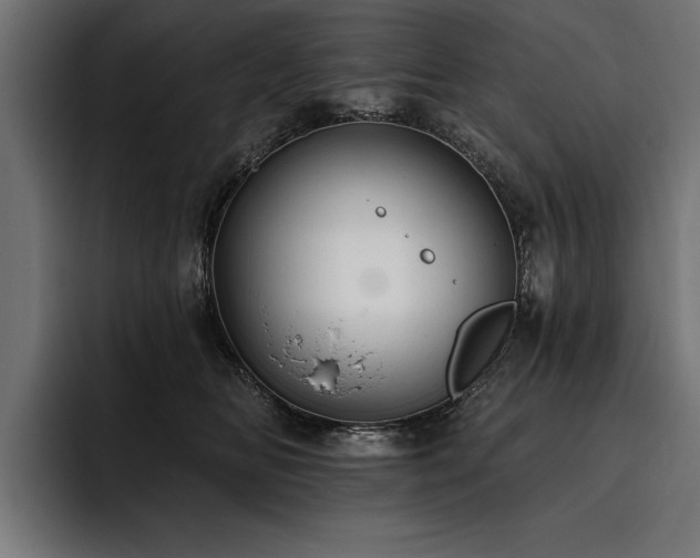 X0000093400518200710121101