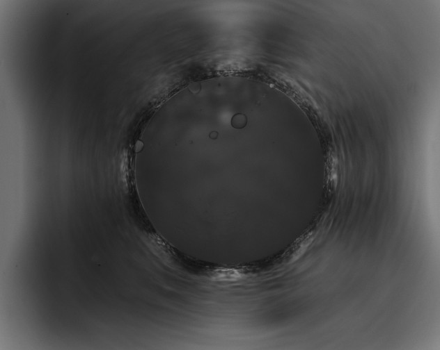 X0000093400519200710121101
