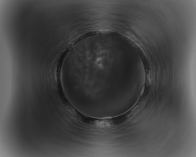 X0000093400520200710121101