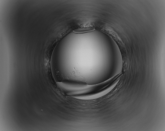 X0000093400521200710121101