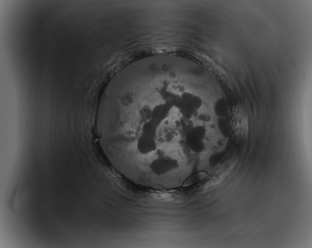 X0000093400523200710121101