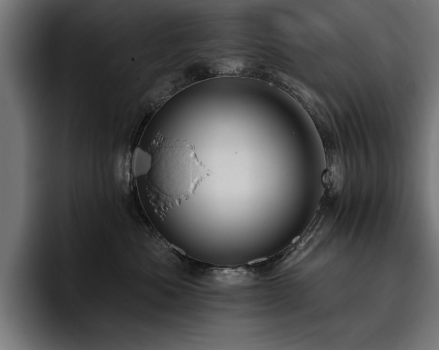 X0000093400525200710121101