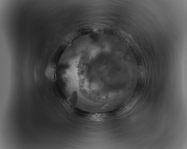 X0000093400527200710121101