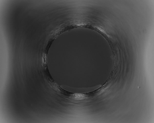 X0000093400528200710121101
