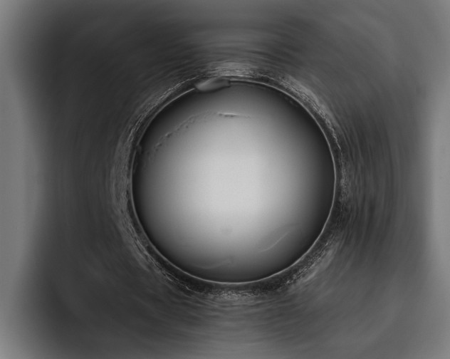 X0000093400529200710121100