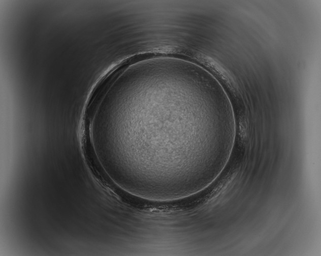 X0000093400532200710121100
