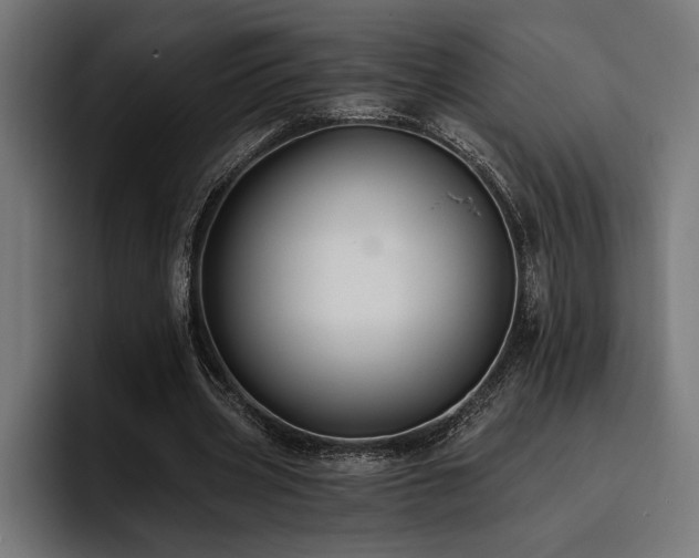 X0000093400533200710121100