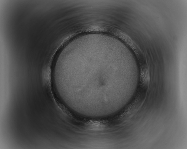 X0000093400534200710121100