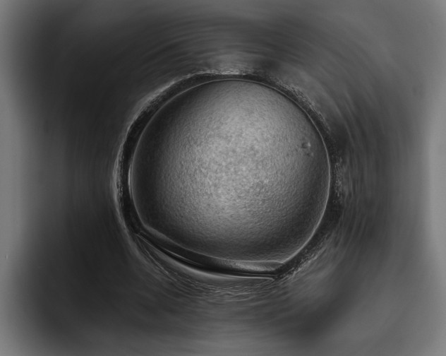 X0000093400536200710121100