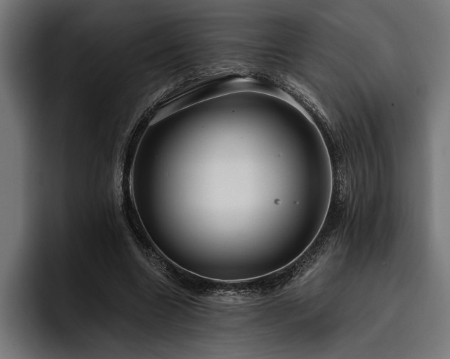 X0000093400538200710121100