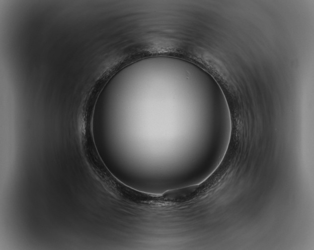 X0000093400539200710121100