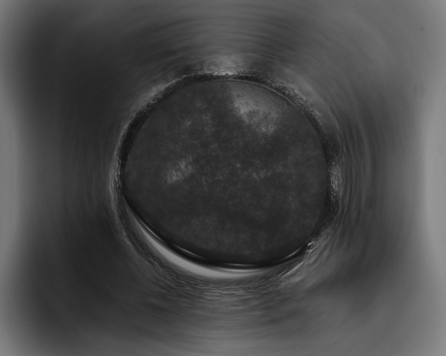 X0000093400540200710121100