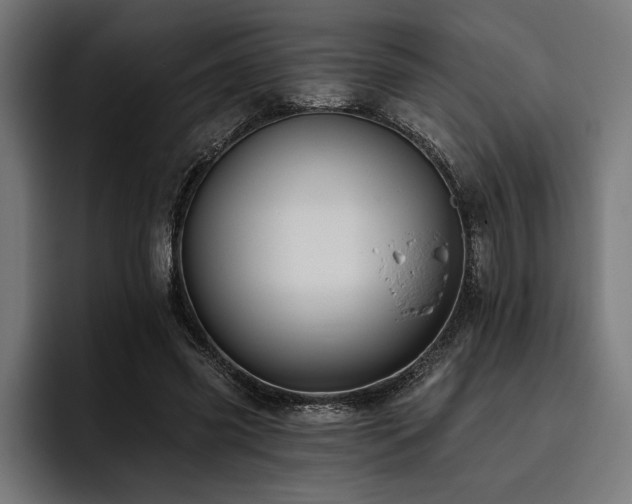 X0000093400541200710121100