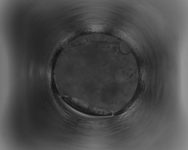 X0000093400542200710121100