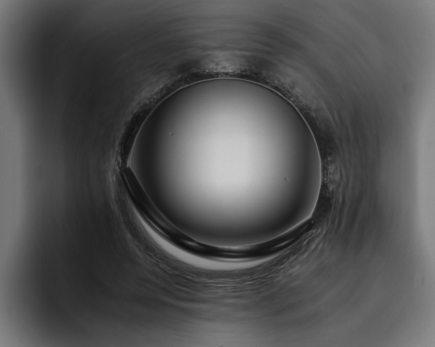 X0000093400544200710121100