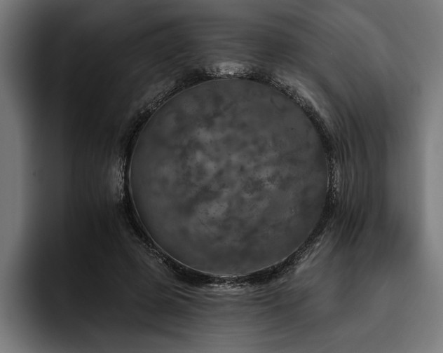 X0000093400545200710121100