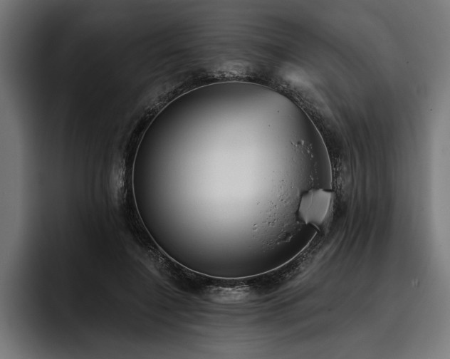 X0000093400548200710121100