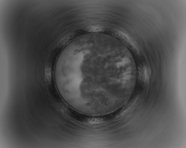 X0000093400549200710121100