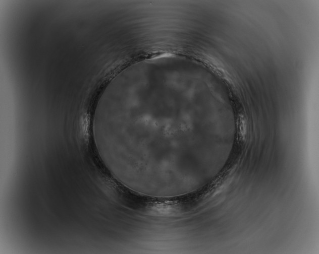 X0000093400550200710121100
