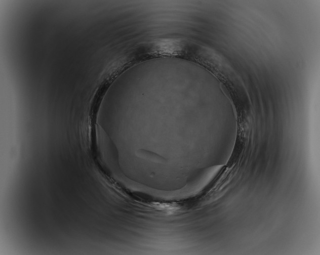 X0000093400552200710121100