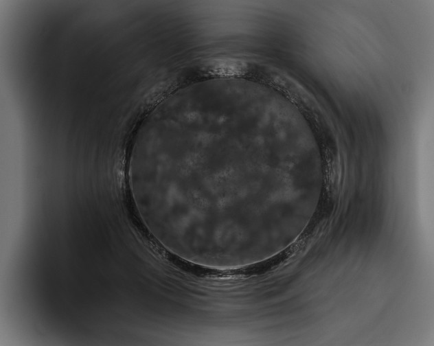 X0000093400553200710121101