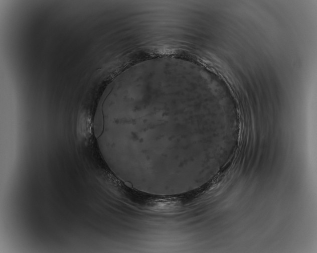 X0000093400555200710121101