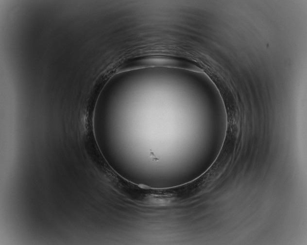X0000093400556200710121101