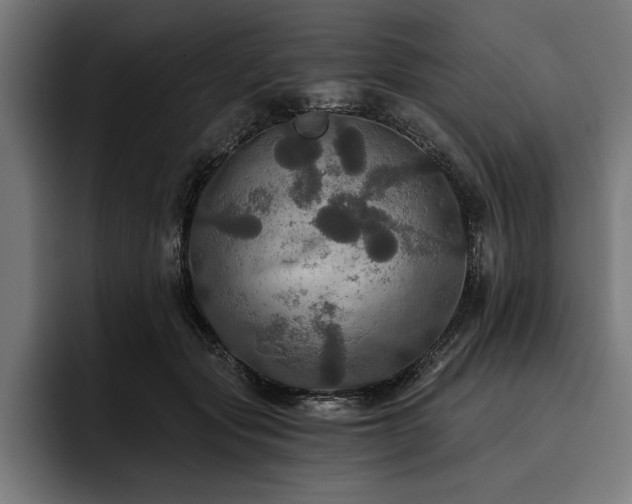 X0000093400557200710121101