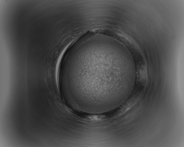 X0000093400558200710121101
