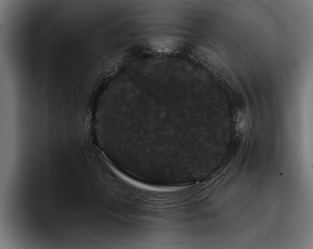 X0000093400559200710121101