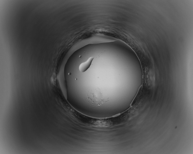 X0000093400562200710121101