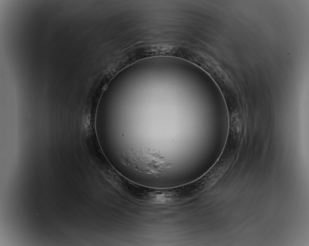 X0000093400564200710121101