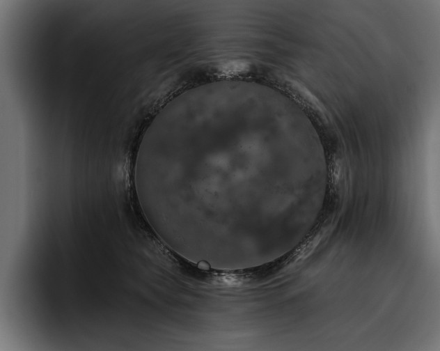X0000093400565200710121101