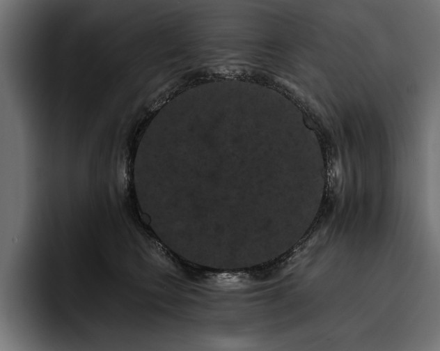 X0000093400566200710121101