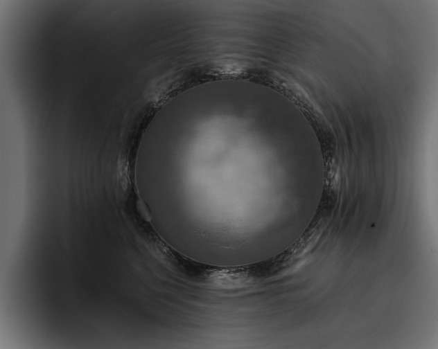 X0000093400568200710121101