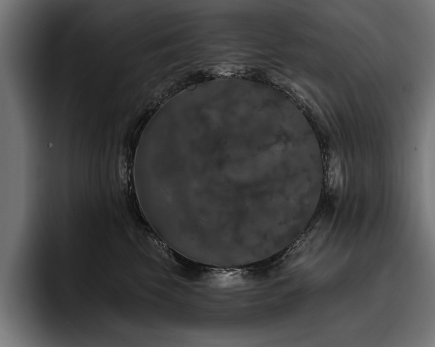 X0000093400569200710121101