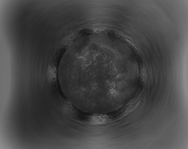 X0000093400571200710121101