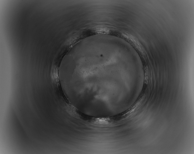 X0000093400573200710121101