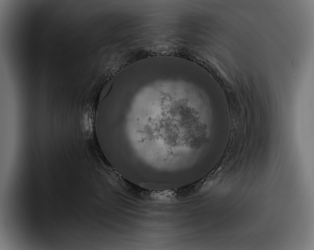 X0000093400576200710121101