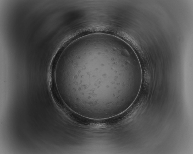 X0000093400582200710121100